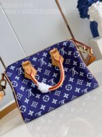 LV Master level Bag