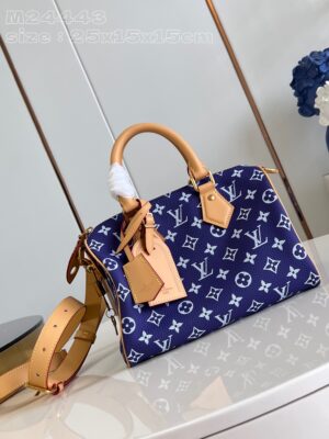 LV Master level Bag