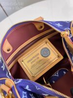 LV Master level Bag