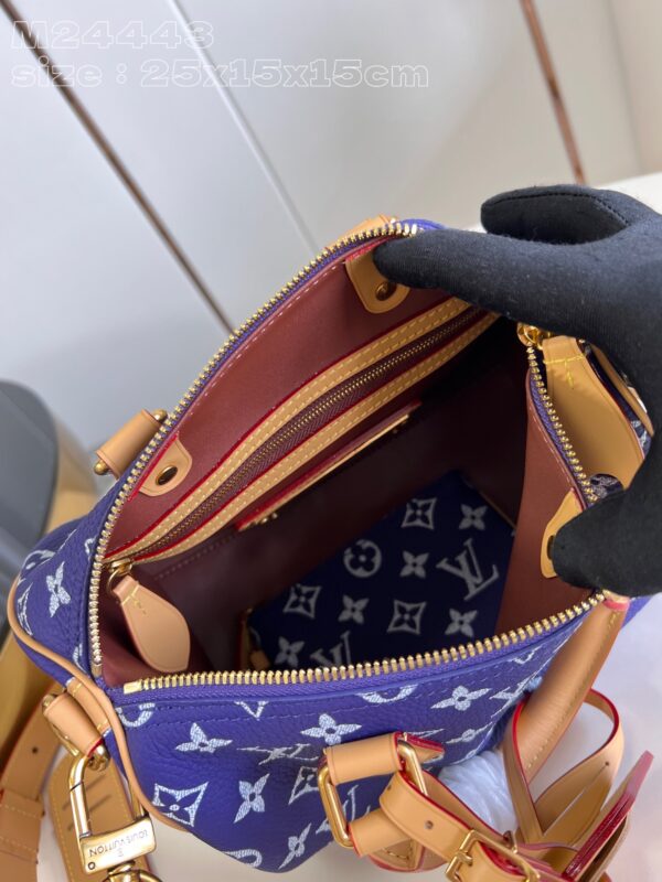 LV Master level Bag