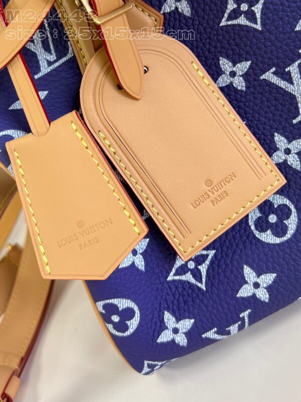 LV Master level Bag