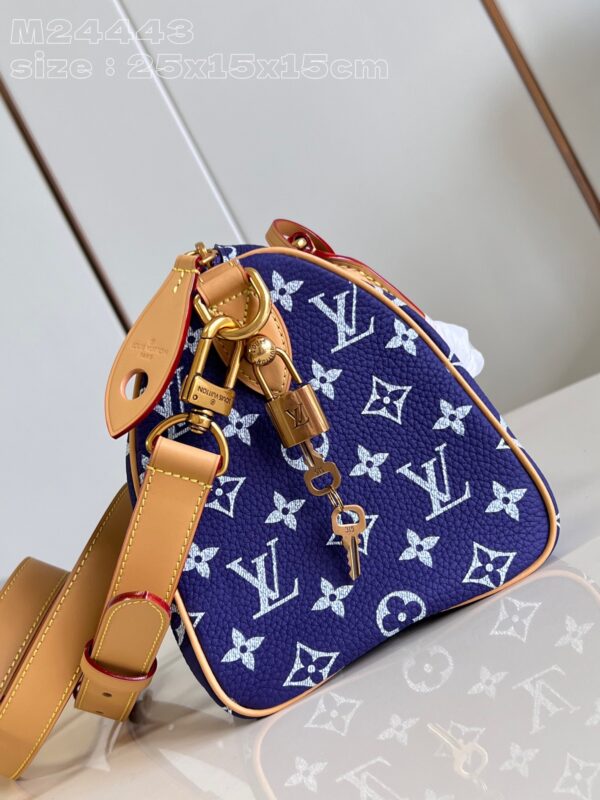 LV Master level Bag