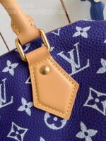 LV Master level Bag