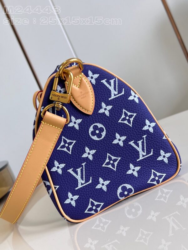 LV Master level Bag