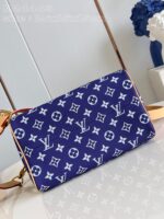 LV Master level Bag