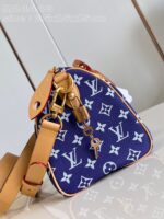 LV Master level Bag
