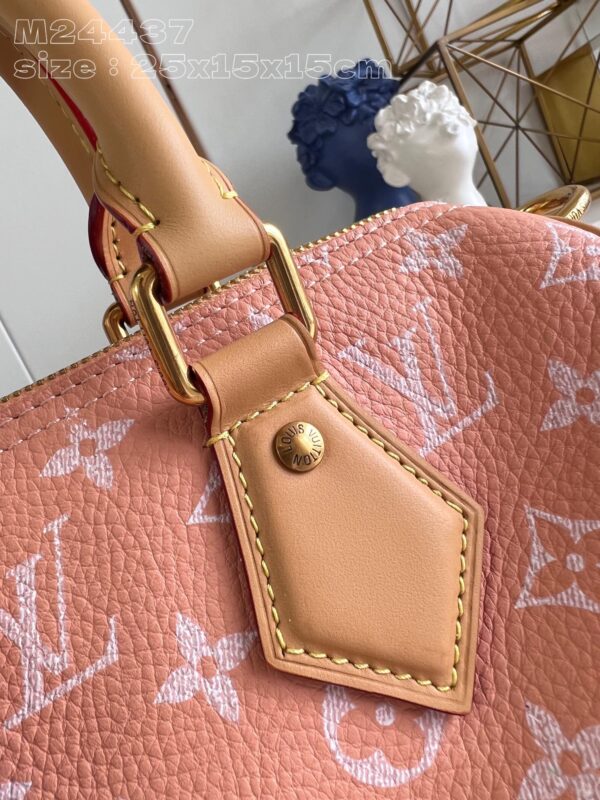 LV Master level Bag