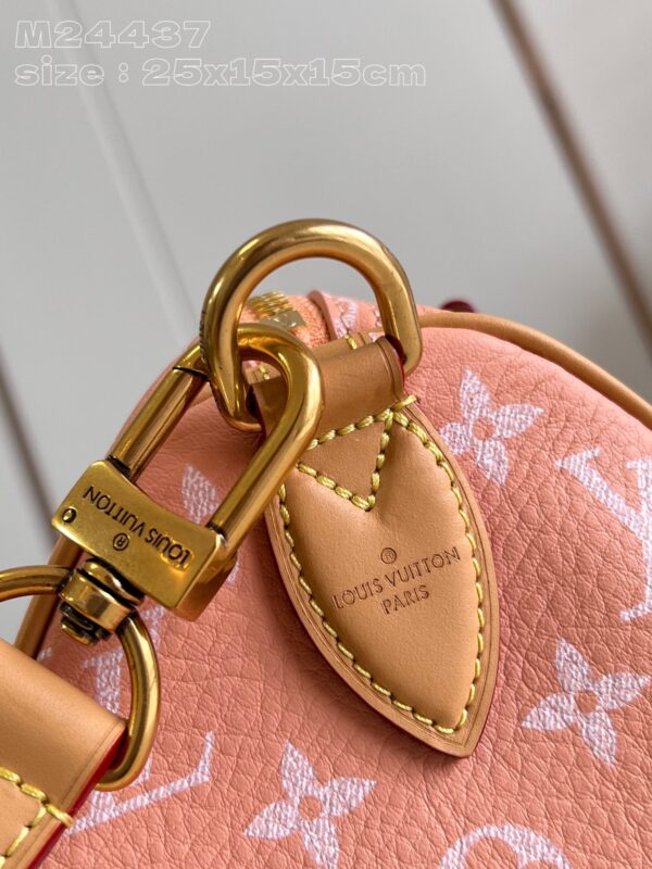 LV Master level Bag