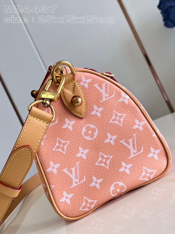 LV Master level Bag