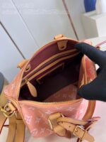 LV Master level Bag