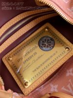 LV Master level Bag