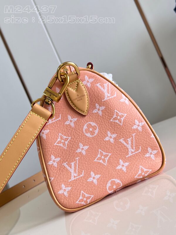 LV Master level Bag