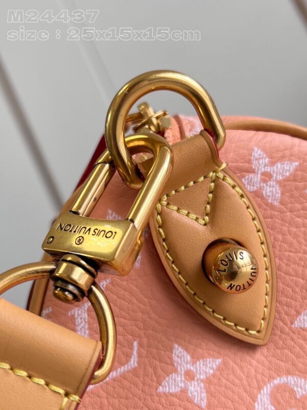 LV Master level Bag