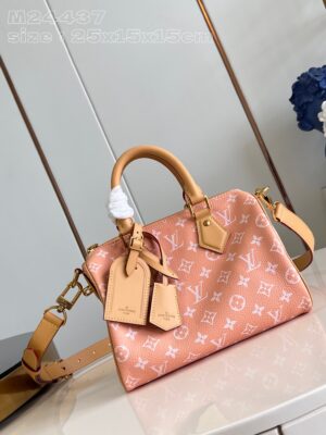 LV Master level Bag