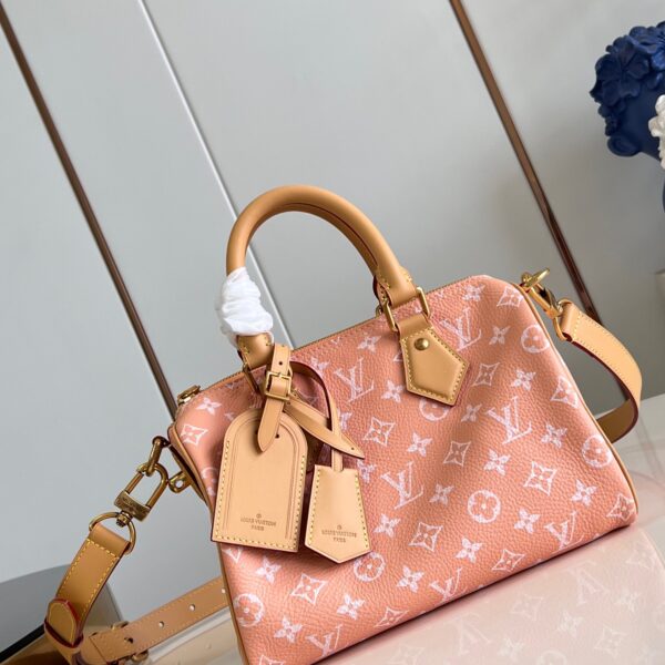 LV Master level Bag