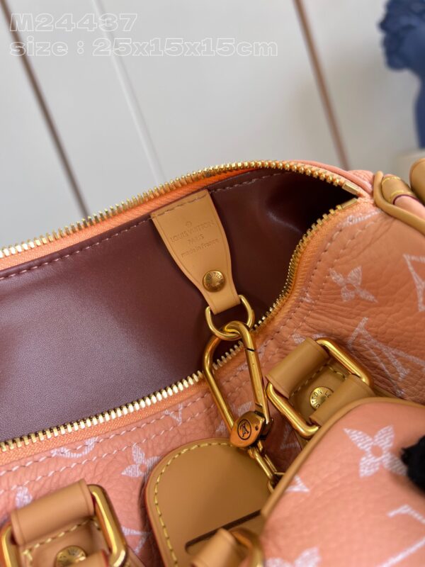 LV Master level Bag