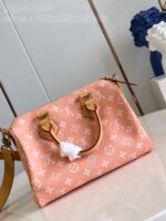LV Master level Bag