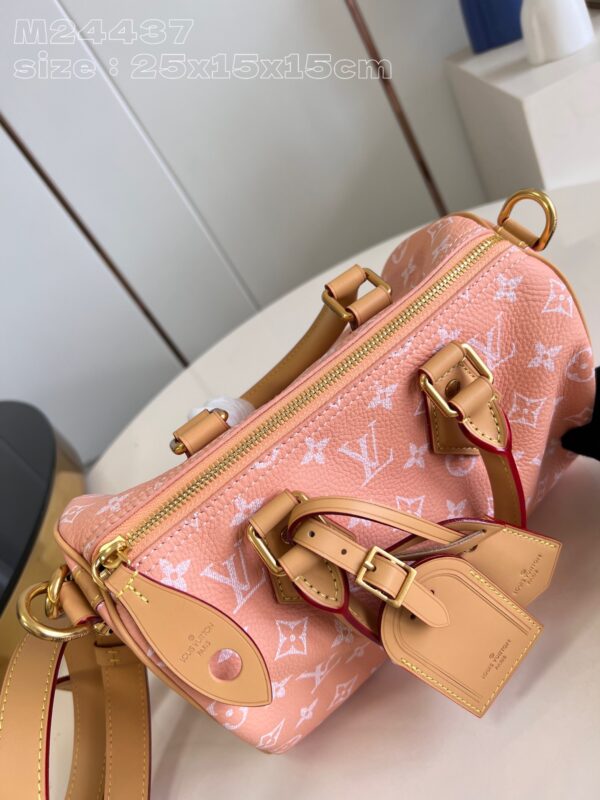 LV Master level Bag