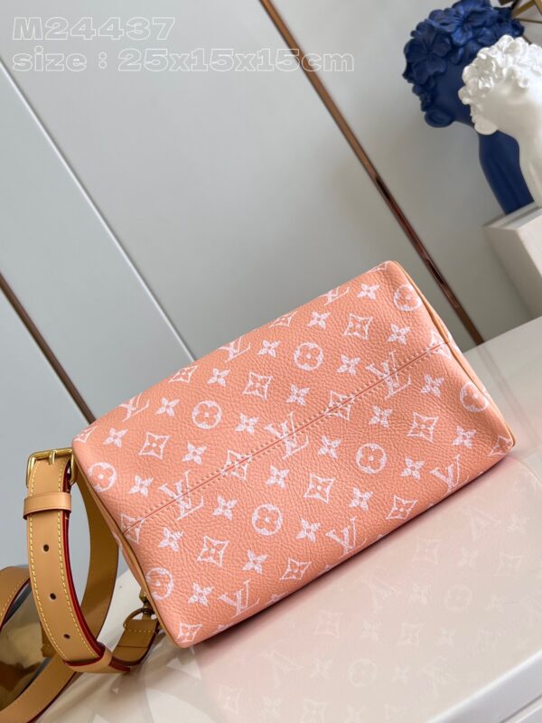 LV Master level Bag