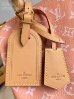 LV Master level Bag