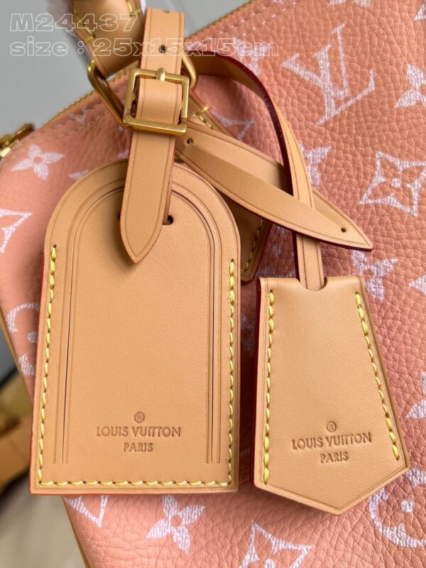 LV Master level Bag