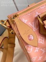 LV Master level Bag