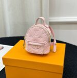 LV Mini Bag