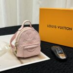LV Mini Bag