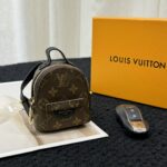 LV Mini Bag