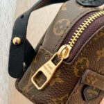 LV Mini Bag
