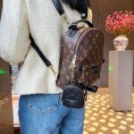 LV Mini Bag