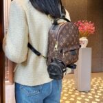 LV Mini Bag