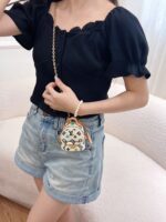LV Mini Bag