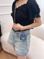 LV Mini Bag