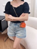 LV Mini Bag