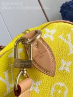 LV Master level Bag