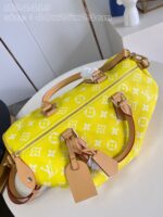 LV Master level Bag