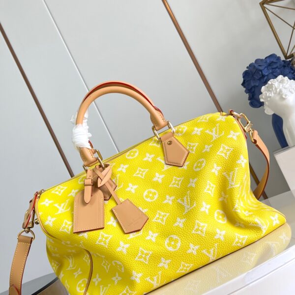 LV Master level Bag