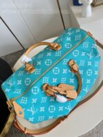 LV Master level Bag