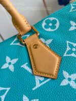 LV Master level Bag