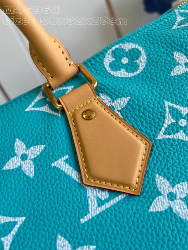 LV Master level Bag