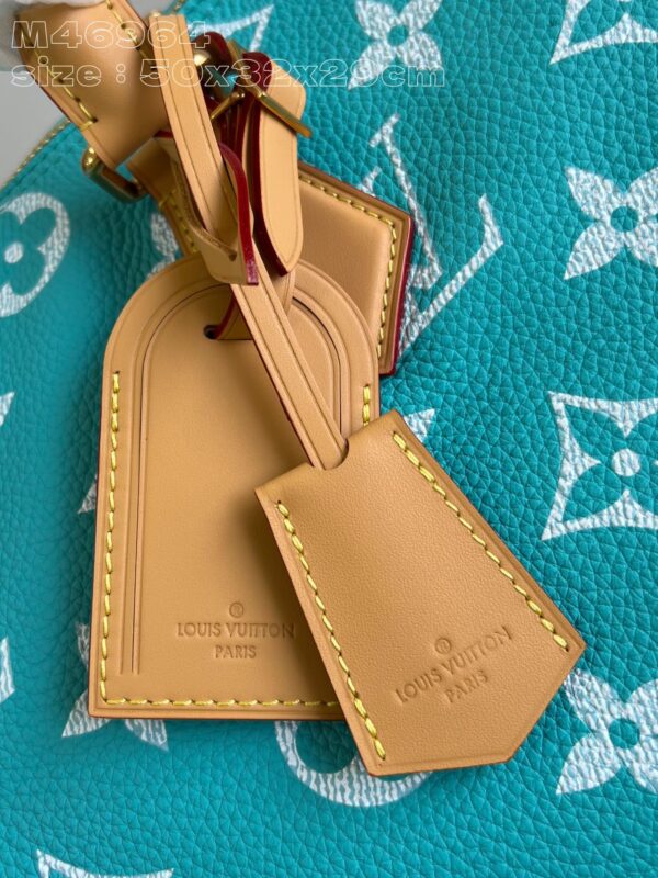 LV Master level Bag