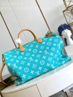 LV Master level Bag