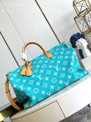 LV Master level Bag