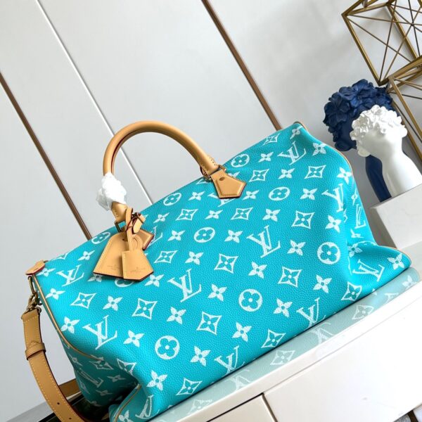 LV Master level Bag