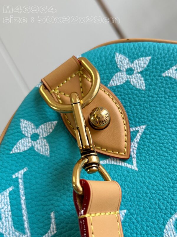 LV Master level Bag