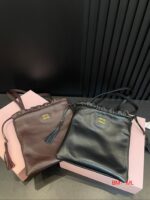 Miumiu Bag 2025