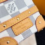 LV Mini Bag