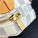 LV Mini Bag