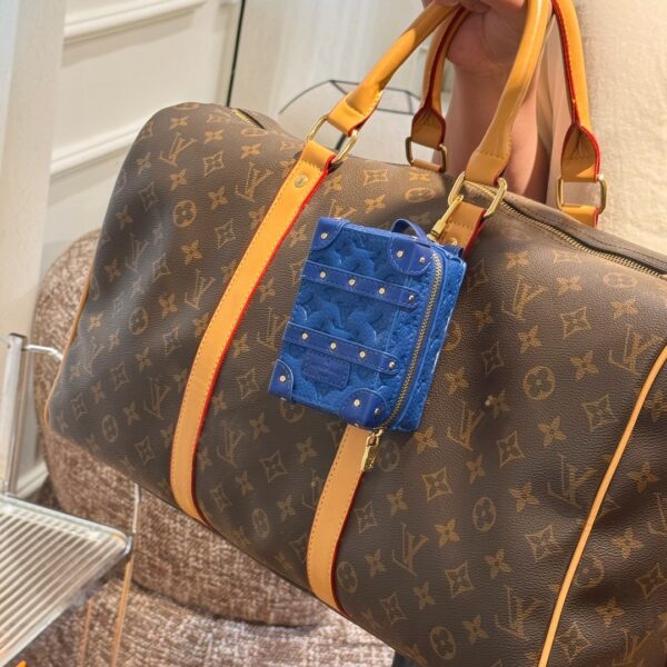 LV Mini Bag